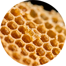 Экстракт конского каштана